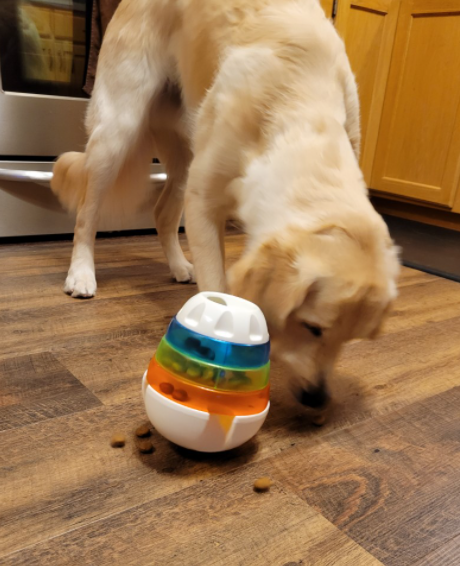 JW Pets Treat Tower Dog Toy, Large