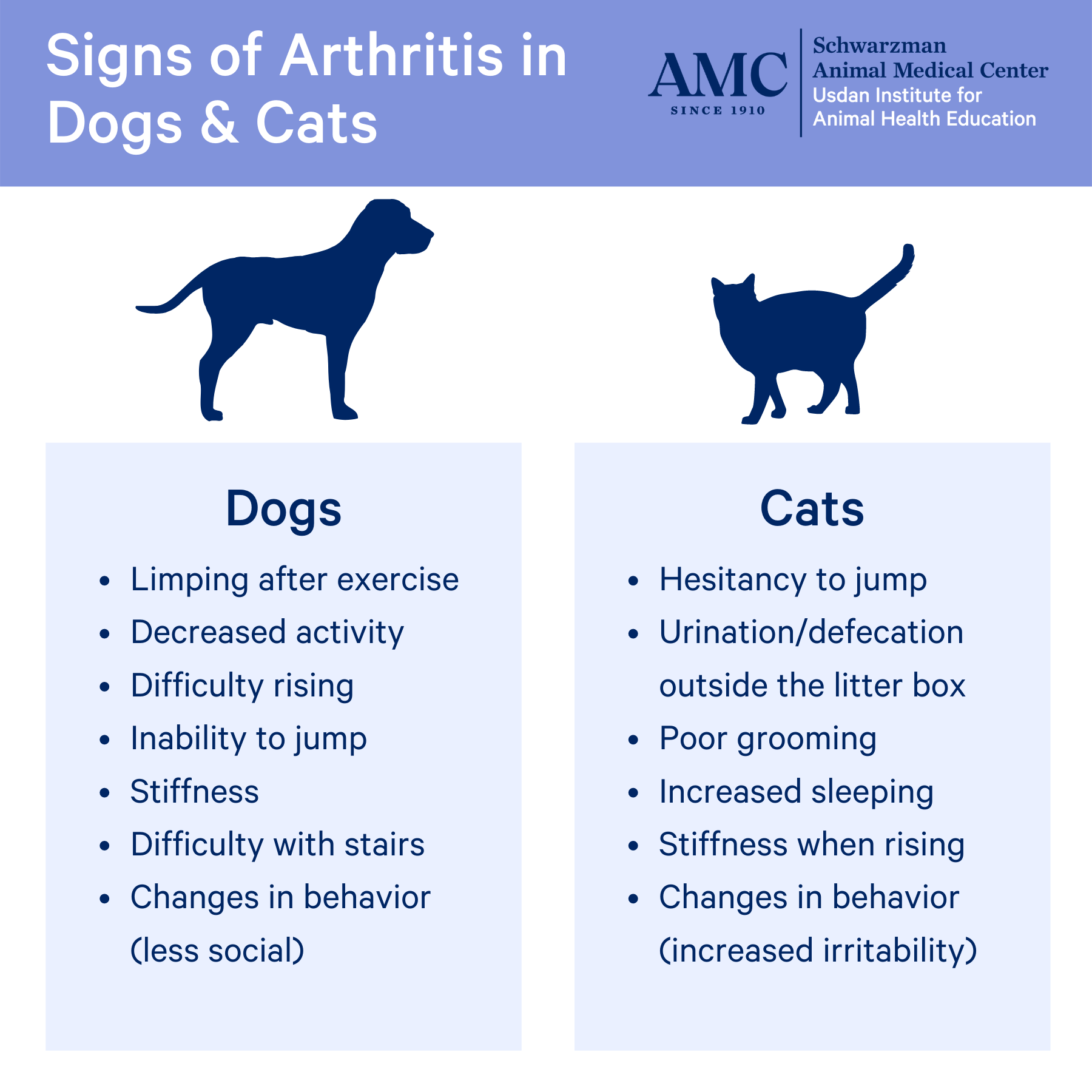 The differences and similarities between cats and dogs