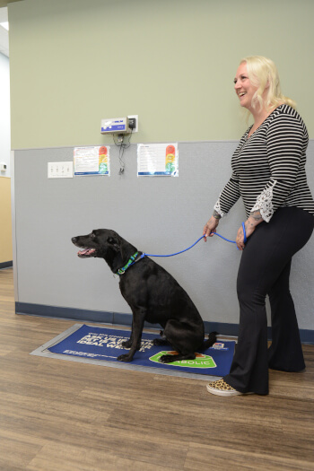 Happy dog on scale